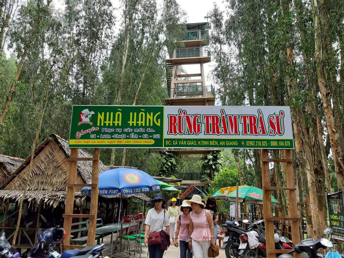 Trải nghiệm trọn vẹn và chi tiết nhất về Tour Rừng Tràm Trà Sư 6